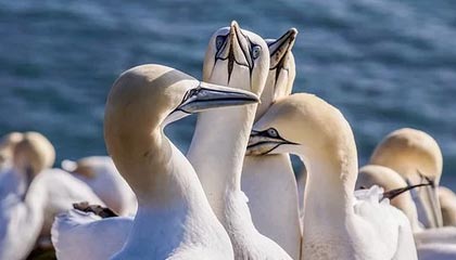 温岭最新公积金卡提取现金方法app方法分析(最方便真实的温岭公积金卡怎样从手机里取出来?方法)