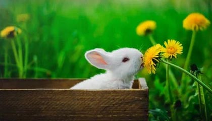 温岭最新公积金卡提取现金操作及规定方法分析(最方便真实的温岭公积金卡提取现金操作及规定是什么方法)